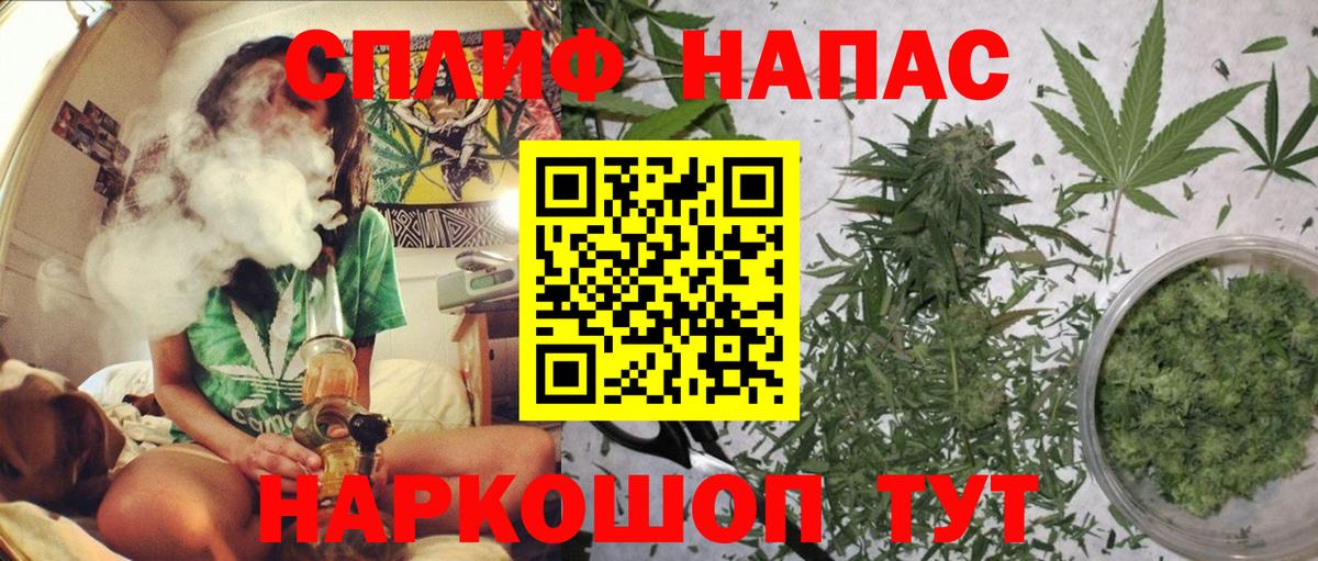 Лесной  Шишки марихуана Bruce Banner  Канабис план  Марихуана план  Вход с VPN 